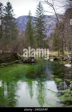 Das kristallklare Wasser der Sava Bohinjka mündet in das westliche Ende des Bohinj-Sees in Slowenien Stockfoto