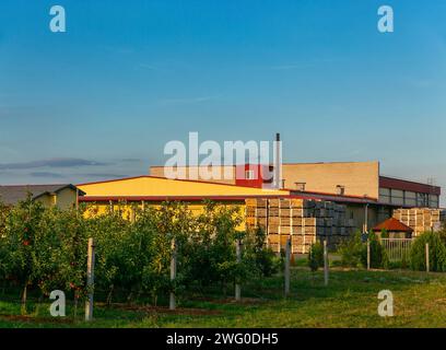 Ein großer Stapel Holzkisten für die Ernte von Äpfeln in einem Apfelgarten auf einem belarussischen Bauernhof. Stockfoto