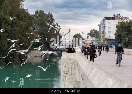 Adana, Turkiye - 25. Januar 2024: Menschen füttern Möwen mit Brotstücken auf der historischen Taskopru, der Steinbrücke in Adana, Turkiye. Stockfoto