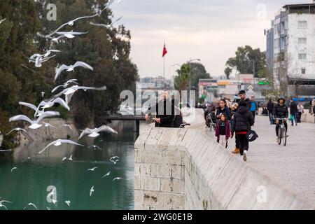 Adana, Turkiye - 25. Januar 2024: Menschen füttern Möwen mit Brotstücken auf der historischen Taskopru, der Steinbrücke in Adana, Turkiye. Stockfoto