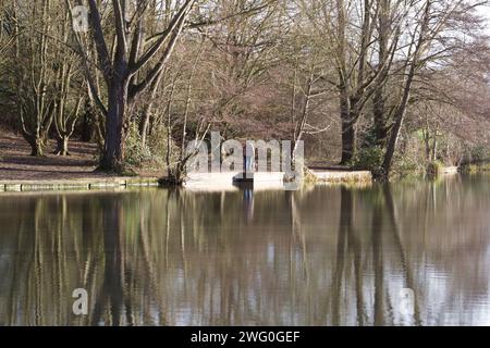 Im Winter spazieren Frauen mit Hund am See im Highwoods Country Park, Colchester, Essex Stockfoto