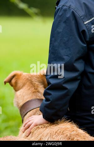 Ein Knabenhand liegt auf seinem Hund auf dem Land in Wales, Großbritannien. Stockfoto