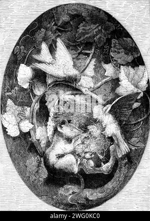 The International Exhibition: Linnets Defending their Nest Against a Dormouse, modelliert in Wachs von A. Cain, 1862. "Der Titel dieses raffiniertesten und fein ausgeführten Modells deutet auf einen wütenden und vielleicht längeren Kampf zwischen Antagonisten hin, die seltsam, aber nicht sehr ungleich aufeinander abgestimmt sind... unser Linnet und die gewöhnliche Wildtierart gehören jeweils zu den kleinsten Vögeln und Vierbeiner... die Handlung der kleinen Kreaturen wird mit ungeheurem Geist gegeben. Der große loir, hockend und hartnäckig, hat eine Seite des Nestes zerbrochen und schon zwei oder drei Eier zerbrochen; aber das ist Stockfoto