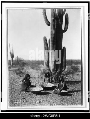 Saguaro Sammler, 1907. Drei Maricopa-Indianer, sitzen vor Kakteen, mit Körben. Stockfoto