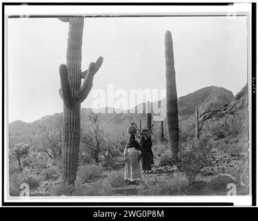 Hasen Ernte B-Qahatika. Drei Frauen, die durch die Wüste laufen, zwei mit Kiho-Trägern und eine mit Topf auf Kopf, Arizona, 1907. Stockfoto