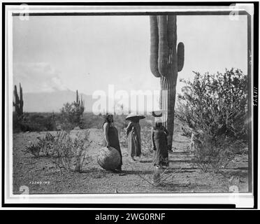 Saguaro Obstsammler-Maricopa, 1907. Drei Frauen, zwei davon mit Körben auf dem Kopf, stehen bei Kaktuspflanze in Arizona. Stockfoto