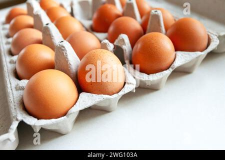 Viele Eier aus dem Laden in einem Karton-Behälter Stockfoto
