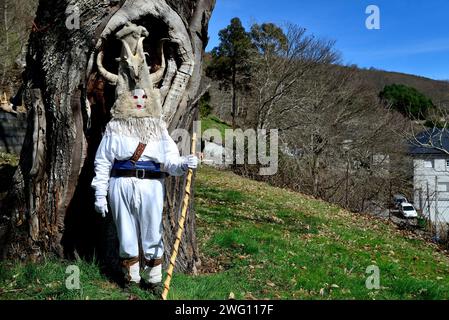 Traditionelle Maske von Velilla de la Reina bei einem Treffen von Vilariño de Conso, Ourense, Spanien Stockfoto