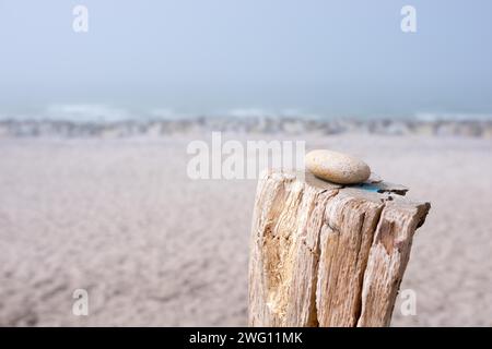 Ein einzelner Stein liegt auf einem Holzpfahl am Strand mit nebeliger Hintergrund, Kieselstein auf Stange, Sandstrand und Wellen, Dorf Kloster, Insel Hiddensee Stockfoto