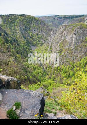 Tiefe Schlucht umgeben von Wald und steilen Felswänden, Blick vom Hexentanzplatz Thale in das Bodetal, Siedlungs- und ausflugsgasthaus Königsruhe Stockfoto