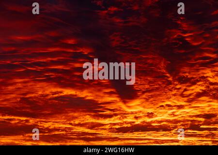 Orange und rote Wolken bei Sonnenauf- oder -Untergang. Dramatische Wolken in Vollbildansicht. Stockfoto