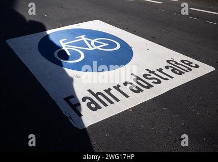 PRODUKTION - 29. Januar 2024, Hessen, Frankfurt/Main: Ein Radweg in Frankfurt. Jeden Monat werden Tausende von privaten Anzeigen in Frankfurt geschaltet, um zu verhindern, dass Menschen auf Radwegen parken. Foto: Boris Roessler/dpa Stockfoto