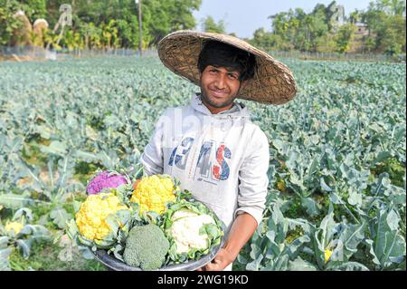 Mehrfarbige Blumenkohlzucht in Bangladesch 30. Januar 2024 Sylhet, Bangladesch: Der junge Landwirt MITHUN DEY arbeitet auf seinen bunten Blumenkohlfeldern. Er kultivierte insgesamt 6-farbigen Blumenkohl zusammen mit Valentina und Corotina Hybrid 2 Sorten, die anti-diabetische und Anti-Krebs-Eigenschaften haben, auch im Geschmack unterschiedlich. Sylhet Bangladesch Copyright: XMdxRafayatxHaquexKhanxxEyepixxGrx Stockfoto