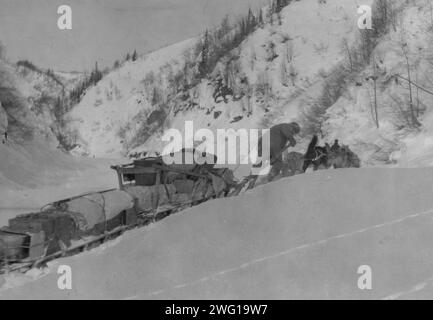 Prospektor mit Hundeteam, zwischen 1900 und 1923. Stockfoto