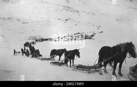 Transport mit Pferden, Maultieren, Hunden und Fahrrad, zwischen 1900 und 1927. Stockfoto