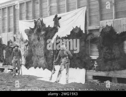 Felle von Tieren, die auf Show River [d. h. Snow River] auf der A.C.R.R.R., 1906 getötet wurden. Stockfoto