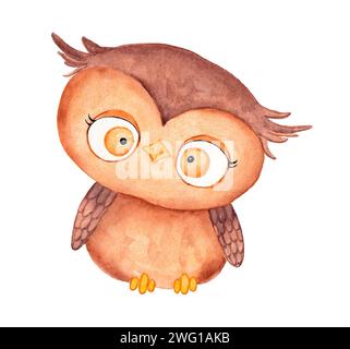 Handgezeichnete süße Eule. Aquarellabbildung auf weißem Hintergrund Stockfoto
