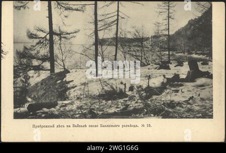 Küstenwald am Baikalsee in der Nähe der Kreuzung Baklany, 1905. Nationalbibliothek von Russland Stockfoto