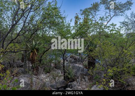 Lake Otjikoto In Der Nähe Von Tsumeb, Namibia Stockfoto