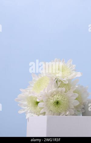 Hintergrund für Produktpräsentationen, Hintergrund für Produktaufnahmen, Hintergrund für Produktwerbung Stockfoto