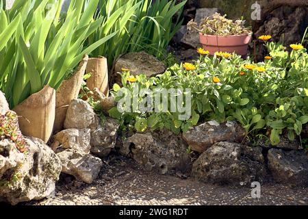 Steintopf im Innenhof des Stadthauses. Detailplan der Pflanzmaschine. Stockfoto