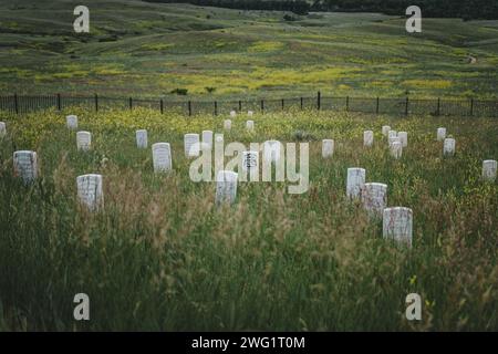 Grabsteine, die die Gräber gefallener US-Soldaten in der Schlacht von Little Bighorn markieren, George Armstrong Custers Grab in der Mitte Stockfoto