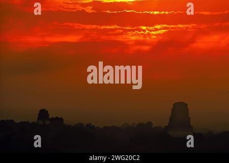 Pyramiden des antiken Maya-Tempelkomplexes von Tikal, die bei Sonnenaufgang über dem Regenwald aufsteigen. Tikal Nationalpark, Peten, Guatemala, Zentralamerika Stockfoto