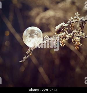 Gefrorene Blase in der Natur. Eine wunderschöne Makroaufnahme der Natur im Winter. Konzept für Umwelt, Wasser und Frost. Stockfoto