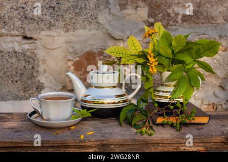 Buch, Herbstblumen, Teetasse auf Holzbank mit grünem Wildtraubenzweig. Warmes Kräutergetränk. Tee-Set aus weißem Porzellan. Heiß gebrühter Naturstrand Stockfoto