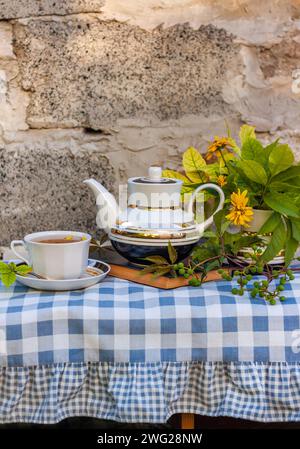 Buch, Herbstblumen, Teetasse auf Holzbank mit grünem Wildtraubenzweig. Warmes Kräutergetränk. Tee-Set aus weißem Porzellan. Heiß gebrühter Naturstrand Stockfoto