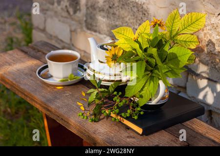 Buch, Herbstblumen, Teetasse auf Holzbank mit grünem Wildtraubenzweig. Warmes Kräutergetränk. Tee-Set aus weißem Porzellan. Heiß gebrühter Naturstrand Stockfoto