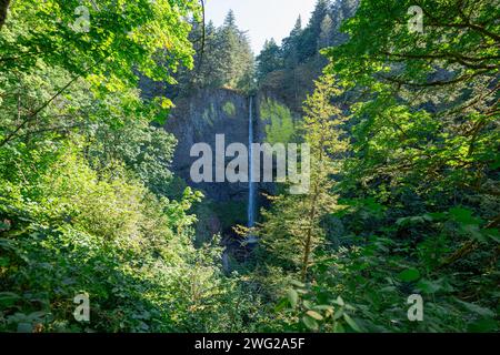 Ein malerischer Blick auf die Latourell Falls entlang der Columbia River Gorge in Oregon. Stockfoto