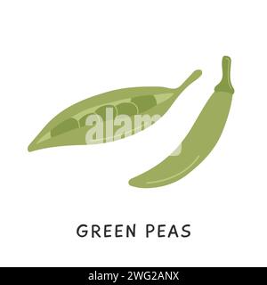 Farbige Erbsen-Vektor-Illustration. Natürliche Erbsen aus biologischem Anbau in schlichtem, flachem Design. Kultiviertes POD-Designelement isoliert auf weiß. Saisonale gesunde i Stock Vektor