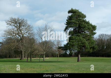 Maidenhead, Großbritannien. Februar 2024. Cala Homes hat einen Planungsantrag eingereicht, um 1.500 Häuser auf dem Maidenhead Golf Club (im Bild) in Berkshire zu bauen. Das Bauprojekt „Elizabeth Quarter“ ist ein Joint Venture (JV) mit Cala Homes und RBWM Property Company Ltd., das sich vollständig im Besitz des Borough council befindet. Lokale Aktivisten sagen, das JV sei ein großer Interessenkonflikt. Die Bauarbeiten würden zu erheblichen Umweltschäden führen und für die Tierwelt am Standort katastrophal sein. Tausende von Bäumen sind vom Fällen bedroht, und der Standort umfasst ein Gebiet Stockfoto