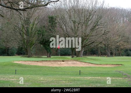 Maidenhead, Großbritannien. Februar 2024. Cala Homes hat einen Planungsantrag eingereicht, um 1.500 Häuser auf dem Maidenhead Golf Club (im Bild) in Berkshire zu bauen. Das Bauprojekt „Elizabeth Quarter“ ist ein Joint Venture (JV) mit Cala Homes und RBWM Property Company Ltd., das sich vollständig im Besitz des Borough council befindet. Lokale Aktivisten sagen, das JV sei ein großer Interessenkonflikt. Die Bauarbeiten würden zu erheblichen Umweltschäden führen und für die Tierwelt am Standort katastrophal sein. Tausende von Bäumen sind vom Fällen bedroht, und der Standort umfasst ein Gebiet Stockfoto