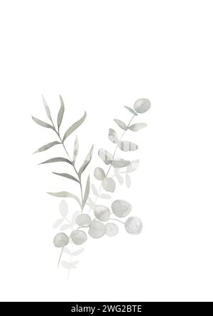 Graues und staubgrünes Eukalyptusstrauß. Botanische Illustration des Frühlings und des Winters für Hochzeit, Grußkarte, Kranz, Website. Botanisch für Stockfoto