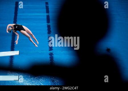 Doha, Katar. Februar 2024. Lauren Hallaselka aus Finnland tritt im 1-m-Sprungbrett Frauen im Vorfeld während der 21. Aquatic World Championships im Hamad Aquatic Center in Doha (Katar) am 2. Februar 2024 an. Quelle: Insidefoto di andrea staccioli/Alamy Live News Stockfoto