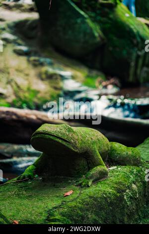 Tarnim Magic Garden Tambon Na Mueang - Ko Samui District Tajlandia um OndaTravel.pl Stockfoto