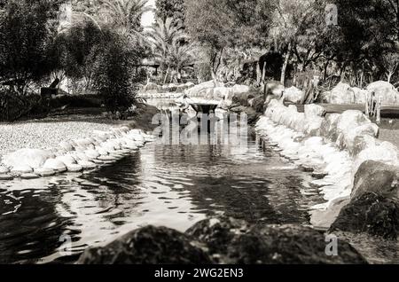 Blick auf die Natur im Al Areen Park, Bahrain Stockfoto