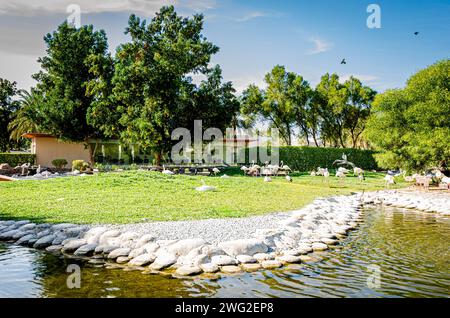 Blick auf die Natur im Al Areen Park, Bahrain Stockfoto