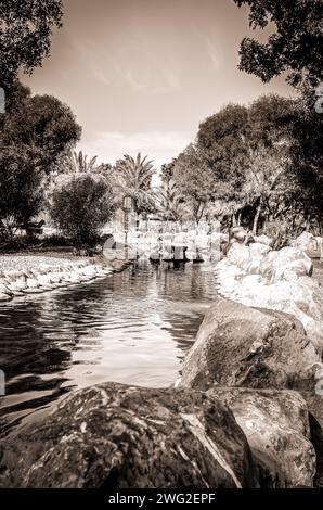 Blick auf die Natur im Al Areen Park, Bahrain Stockfoto