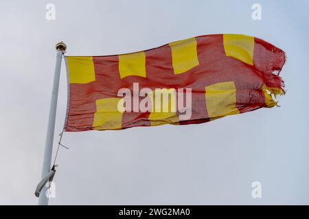 Die Flagge von Northumberland, die an einem Fahnenmast in der Stadt Amble, Northumberland, Großbritannien, fliegt Stockfoto