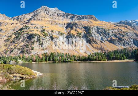 Wunderschöner Blick auf den Cavloc-See, in der Nähe des Maloja-Passes im Kanton Graubünden, Schweiz an einem sonnigen Tag im Oktober. Stockfoto