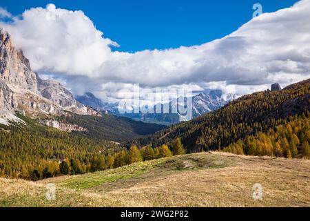 Die Berghänge sind mit goldfarbenen Lärchenbäumen bedeckt, vom Falzarego-Pass aus in Richtung Cortina d´Ampezzo, Italien. Stockfoto