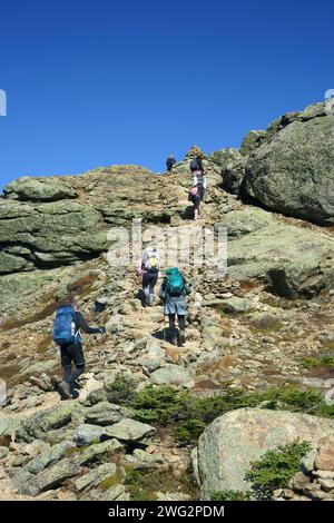 Wanderer in Richtung Mt Lincoln voran auf dem Fränkischen Ridge Trail, New Hampshire, USA. Stockfoto