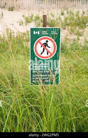 Schilder warnen Personen, sich vom Dünenbereich fernzuhalten, um das Strandgras zu schützen und Erosion zu verhindern. Stockfoto