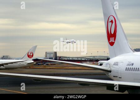 Tokio, Japan. Februar 2024. JAL Aircraft wartet auf der Landebahn auf Passagiere am Terminal 1 des Internationalen Flughafens Tokio Haneda. (Foto: James Matsumoto/SOPA Images/SIPA USA) Credit: SIPA USA/Alamy Live News Stockfoto