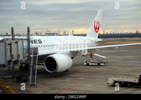 Tokio, Japan. Februar 2024. JAL Aircraft wartet auf der Landebahn auf Passagiere am Terminal 1 des Internationalen Flughafens Tokio Haneda. (Foto: James Matsumoto/SOPA Images/SIPA USA) Credit: SIPA USA/Alamy Live News Stockfoto