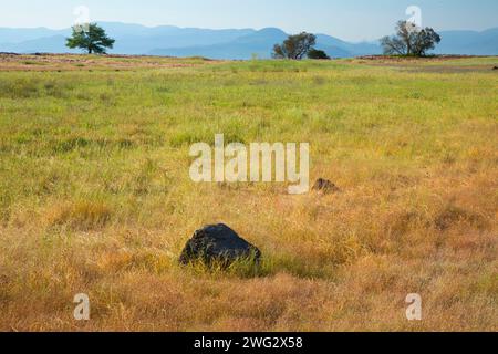 Grünland-Plateau, obere Tabelle Rock zu bewahren, Medford District Bureau of Land Management, Oregon Stockfoto