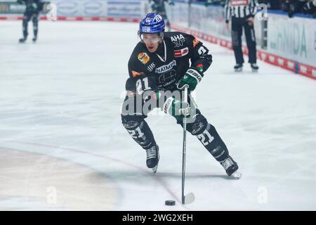 Augsburg, Deutschland 02. Februar 2024: 1. DEL - 2023/2024 - Sp.43 - Augsburger Panther vs. Kölner Haie im Bild: Jere Karjalainen (Augsburger Panther) Stockfoto